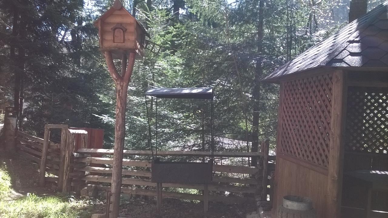 Hotel Yavir Jaremcse Kültér fotó